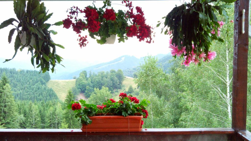 Cabana Maly Villa Petrosani Exterior photo